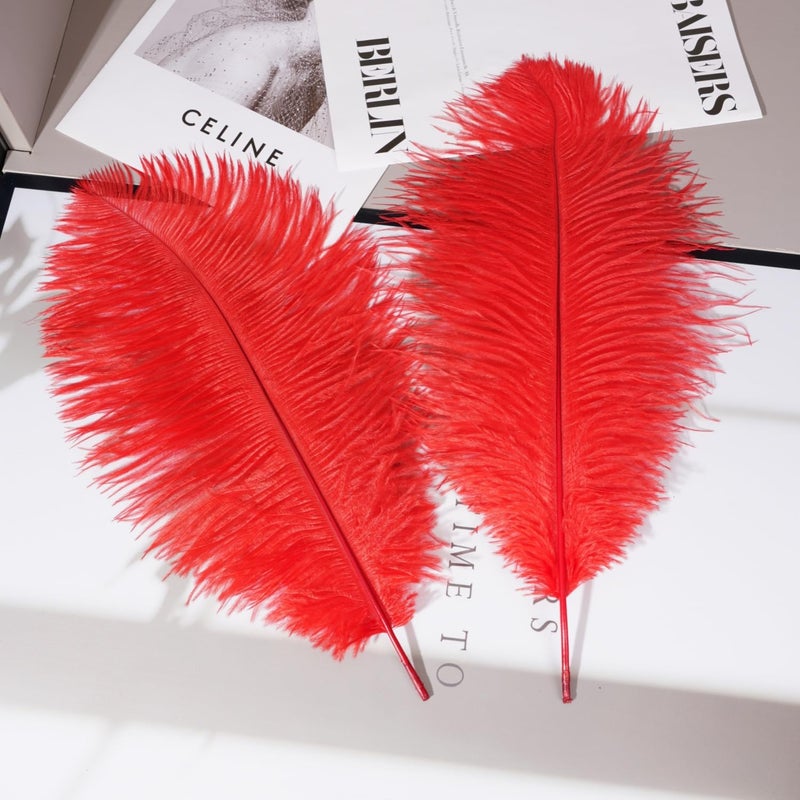 Shekyeon 16-18inch Red Ostrich Feathers DIY Craft Large Feather for Wedding Party Centerpicecs Flower Arrangement and Easter Gatsbi Decortion Pack of 10 - Image 5